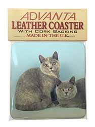 British Shorthair Cats Single Leather Photo Coaster