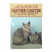 British Shorthair Cats Single Leather Photo Coaster, Printed Full Colour  - Adva