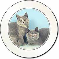 British Shorthair Cats Car or Van Permit Holder/Tax Disc Holder