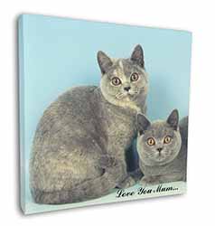 British Shorthair Cats 