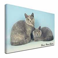 British Shorthair Cats 