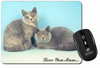 British Shorthair Cats 