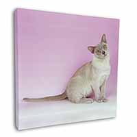 Lilac Burmese Cat Square Canvas 12"x12" Wall Art Picture Print