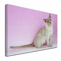 Lilac Burmese Cat Canvas X-Large 30"x20" Wall Art Print