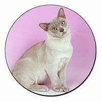 Lilac Burmese Cat Fridge Magnet Printed Full Colour