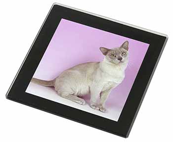 Lilac Burmese Cat Black Rim High Quality Glass Coaster