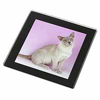 Lilac Burmese Cat Black Rim High Quality Glass Coaster