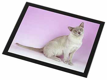 Lilac Burmese Cat Black Rim High Quality Glass Placemat