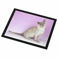 Lilac Burmese Cat Black Rim High Quality Glass Placemat