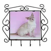 Lilac Burmese Cat Wrought Iron Key Holder Hooks