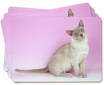 Lilac Burmese Cat Picture Placemats in Gift Box