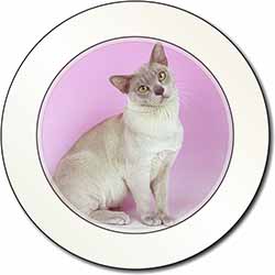 Lilac Burmese Cat Car or Van Permit Holder/Tax Disc Holder