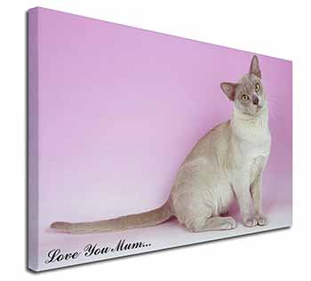 Burmese Cat 