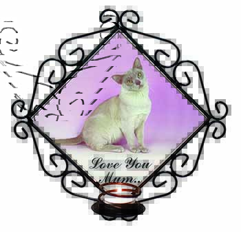 Burmese Cat 