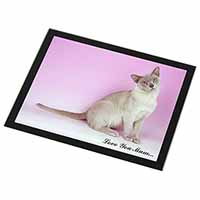 Burmese Cat 