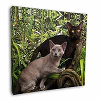 Burmese Cats Square Canvas 12"x12" Wall Art Picture Print