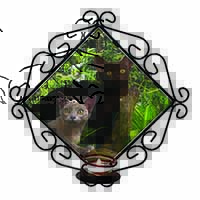Burmese Cats Wrought Iron Wall Art Candle Holder