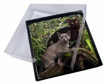 4x Burmese Cats Picture Table Coasters Set in Gift Box