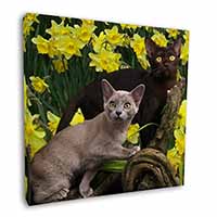 Burmese Cats Amoungst Daffodils Square Canvas 12"x12" Wall Art Picture Print
