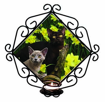 Burmese Cats Amoungst Daffodils Wrought Iron Wall Art Candle Holder