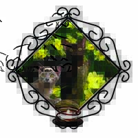 Burmese Cats Amoungst Daffodils Wrought Iron Wall Art Candle Holder