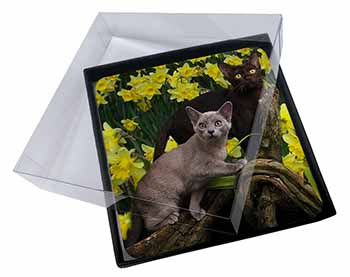 4x Burmese Cats Amoungst Daffodils Picture Table Coasters Set in Gift Box