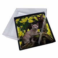 4x Burmese Cats Amoungst Daffodils Picture Table Coasters Set in Gift Box