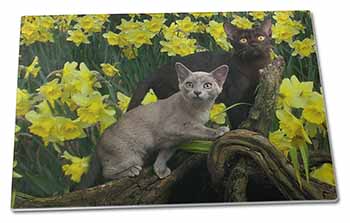Large Glass Cutting Chopping Board Burmese Cats Amoungst Daffodils