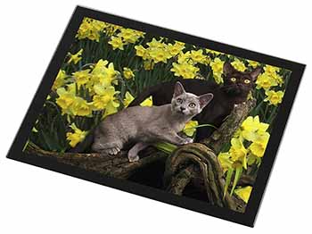 Burmese Cats Amoungst Daffodils Black Rim High Quality Glass Placemat