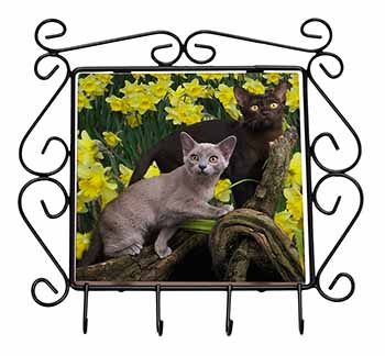 Burmese Cats Amoungst Daffodils Wrought Iron Key Holder Hooks