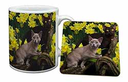 Burmese Cats Amoungst Daffodils Mug and Coaster Set