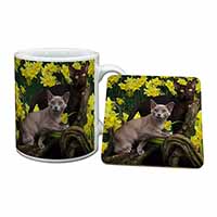 Burmese Cats Amoungst Daffodils Mug and Coaster Set