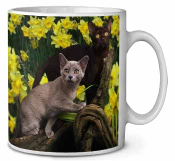 Burmese Cats Amoungst Daffodils Ceramic 10oz Coffee Mug/Tea Cup