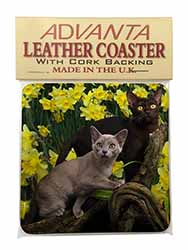 Burmese Cats Amoungst Daffodils Single Leather Photo Coaster