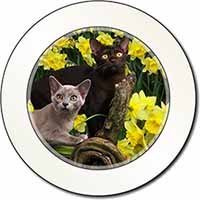 Burmese Cats Amoungst Daffodils Car or Van Permit Holder/Tax Disc Holder