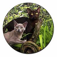 Burmese Cats Fridge Magnet Printed Full Colour