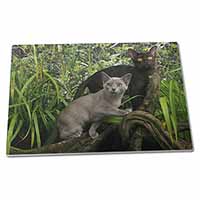 Large Glass Cutting Chopping Board Burmese Cats