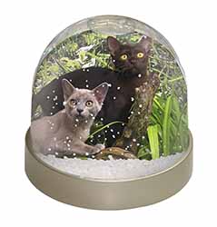 Burmese Cats Snow Globe Photo Waterball