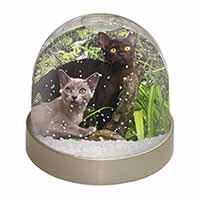 Burmese Cats Snow Globe Photo Waterball