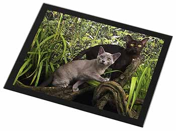 Burmese Cats Black Rim High Quality Glass Placemat