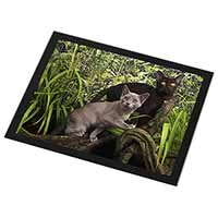 Burmese Cats Black Rim High Quality Glass Placemat