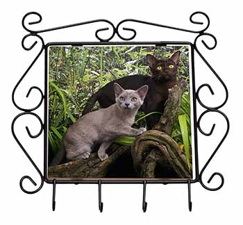 Burmese Cats Wrought Iron Key Holder Hooks