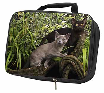 Burmese Cats Black Insulated School Lunch Box/Picnic Bag