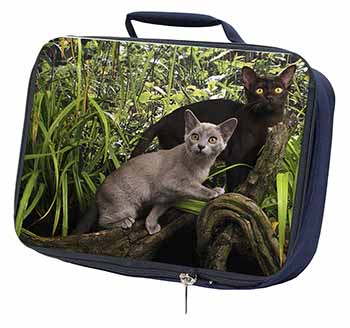 Burmese Cats Navy Insulated School Lunch Box/Picnic Bag