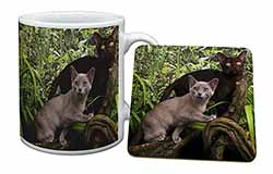 Burmese Cats Mug and Coaster Set