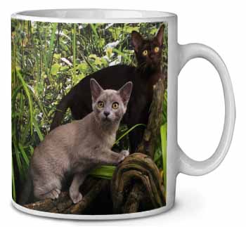 Burmese Cats Ceramic 10oz Coffee Mug/Tea Cup