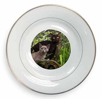 Burmese Cats Gold Rim Plate Printed Full Colour in Gift Box
