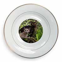 Burmese Cats Gold Rim Plate Printed Full Colour in Gift Box