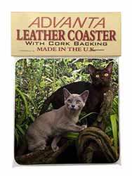 Burmese Cats Single Leather Photo Coaster