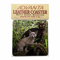 Burmese Cats Single Leather Photo Coaster